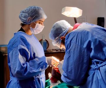 Dr Sonia and surgical team performing a hair transplant procedure