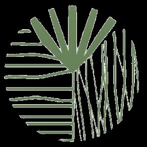 Dr. Sonia's Clinic circular logo mark